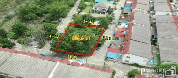 ที่สวยปลูกบ้าน/โกดังขนาดเล็ก 186.6 วา สะดวกติลดถนน 3 ด้าน ในซอยค่ายกำแพงเพชร ใกล้เศรษฐกิจ พุทธสาคร