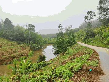 ขายที่ดินสวนทุเรียนติดถนน 9ไร่ อายุ2ปี 200กว่าต้น อ.เบตง จ.ยะลา