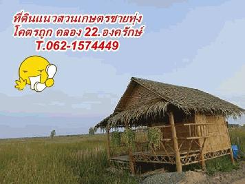 โคตรถูกที่ดินแนวสวนเกษตรชายทุ่ง คลอง 22. T.062-1574449