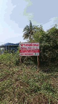 ขายด่วน ที่ดิน 54 ตารางวา เหมาะพักอาศัยหลังเกษียณ เมือง อุบลราชธานี