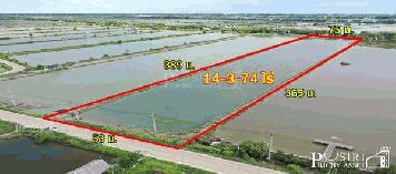 ขาย ที่สร้างโรงงานเกือบ 15ไร่ ขอใบ รง.4 ได้ ใกล้กรุงเทพ เทรลเลอร์เข้าสะดวก เส้นบางขุนเทียน - พันท้าย  KK5301S