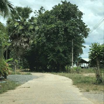 ขายที่ดินทำเลดีใกล้หาดชะอำ อำเภอท่ายาง จังหวัดเพชรบุรี
