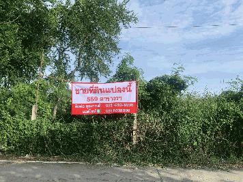 ขายที่ดิน ซอยมังกร ขันดี 9 เมือง สมุทรปราการ