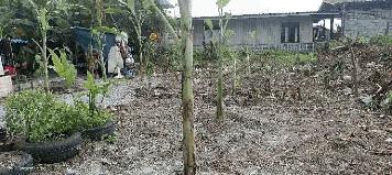 ขายที่ดินถมแล้วย่านใจกลางเมือง ตำบล ห้วยกะปิ อำเภอ เมืองชลบุรี ชลบุรี 