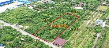 ที่สวย ใช้ทำโกดัง/ซื้อทำกำไร เกือบ 2 ไร่ ฮวงจุ้ยดี ทางทิศใต้รับลมตลอดปี ใกล้ถนนสายใยรักต่อไปใกล้ถนนตัดใหม่ กัลปพฤกษ์ – พุทธสาคร kk5101s