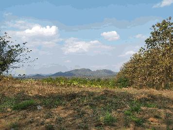 ขายที่ดินพร้อมบ้าน ที่สวยทำเลดีเหมาะสำหรับทำสวนยางเเละสวนไผ่กล้วย resort บ้านพักตากอากาศจังหวัดเลย