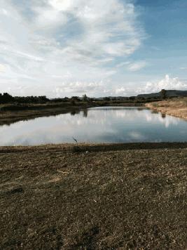 ขายที่ดินเปล่า ทำเลดี วิวสวย อำเภอสันกำแพง จังหวัดเชียงใหม่