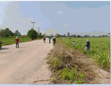 ายที่ดินกำแพงเพชร 48 ไร่ ถนน 1084 ต.เทพนคร ใกล้ วัดไทรย้อย ใกล้โครงการก่อสร้างรถไฟทางคู่ สถานีเทพนคร