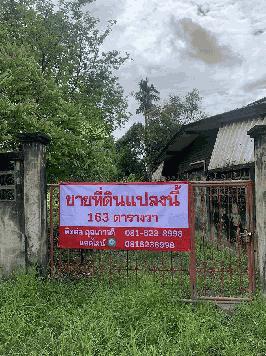 ขายที่ดิน 163 ตารางวา  ซอยเฉลิมพระเกียรติ 38 ประเวศ กรุงเทพมหานคร