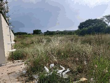 ขายที่ดินเปล่า 8ไร่เศษ ในซอยบางกระดี่ 35/1 ใกล้รง.ฮาตาริ