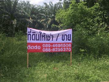 ขายด่วนที่ดินราคาถูก ทำเลดี ใกล้เเหล่งชุนชน อำเภอกันตัง จังหวัดตรัง