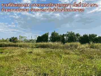 ขายที่ดินคลอง14 บรรยากาศดีขายถูกสุดๆ ตำบลบางปลากด อำเภอองครักษ์จังหวัดนครนายก 