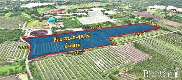 ขายที่ 31ไร่ หน้ากว้างมาก 133เมตร ราคาคุ้มสุด ในตลาดเชื่อมต่อหลายเส้นทาง ถนน สวนส้ม บางปลา และพระราม 2