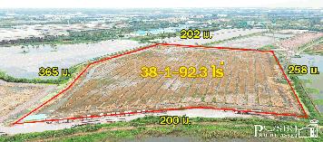 ที่สวยสร้างโกดัง 38 ไร่เศษ หน้ากว้างถึง 200 ม. ติดถนนที่รถเทรลเลอร์เข้าออกสบาย ใกล้ถนนบ้านแพ้ว พระราม 2 คุ้มค่ากว่าที่อื่น 17%  KK1044S