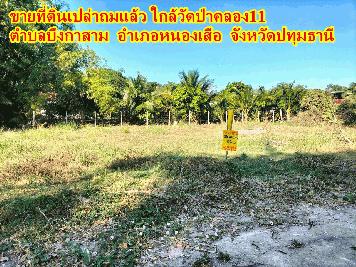 ขายที่ดินเปล่าถมแล้ว ใกล้วัดป่าคลอง11 ตำบลบึงกาสาม อำเภอหนองเสือ จังหวัดปทุมธานี 