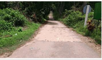 ขายที่ดินสวยสวนมังคุดบ้านบางแก้ว พรุตาโรย อำเภอละอุ่น จังหวัดระนอง