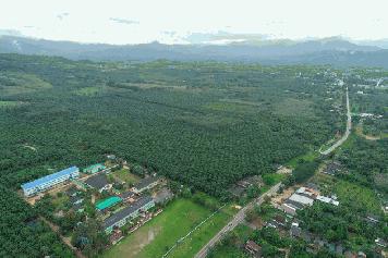 ขายที่ดินสวยสวนปาล์ม ทำเลดี เจ้าของขายเอง อ.กะเปอร์ จ.ระนอง