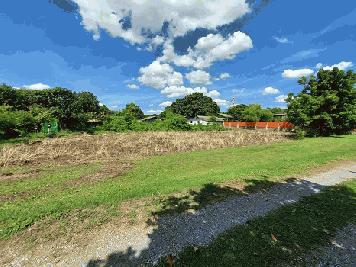 ขาย ที่ดิน ซอย เพชรเกษม 63 วัดม่วง ขนาด 525 ตร.ว. ใกล้ MRT หลักสอง