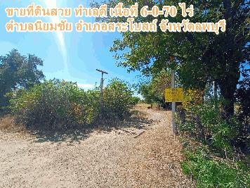 ขายที่ดินสวย ทำเลดี เนื้อที่ 6-0-70 ไร่ ตำบลนิยมชัย อำเภอสระโบสถ์ จังหวัดลพบุรี 