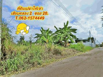ที่ดินให้เช่าราคาเบาหวิว.เลียบคลอง 2.ซอย 20. T.062-1574449
