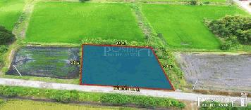 ขายที่สวย 360วา ใน ราคาต่ำกว่าตลาด ย่านคลองโยง อนาคตไกล ใกล้มอเตอร์เวย์ ตัดใหม่ บางใหญ่-กาญจนบุรี - KK3797S