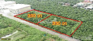 นางฟ้าตัวน้อยสีม่วง 330 ตร.ว. มี 2 เเปลง ขอใบ รง.4 ได้ทุกประเภท ถมพร้อมสร้าง ครบน้ำ,ไฟ,ท่อระบายน้ำ ใกล้ถนนเศรษฐกิจ kk5571s