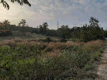 ขาย - ที่ดินวัยเกษียณ