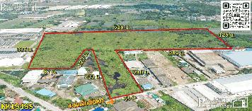 ที่สร้างโรงงาน 66 ไร่ สีม่วง สมุทรสาคร พื้นที่กว้างด้านใน เทรลเลอร์สะดวก ระบายก็สะดวก KK1949S