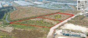 ที่สวยสร้างโรงงาน 5 และ 6 ไร่ วางแปลนง่าย ใช้เทเลอร์สะดวก ใกล้พระราม 2 เพียง 2.5 ล้าน/ไร่