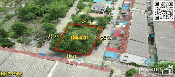 ที่สวยปลูกบ้าน/โกดัง 186.6 วา สะดวกติดถนน 3 ด้าน ในซอยค่ายกำแพงเพชร ใกล้เศรษฐกิจ พุทธสาคร