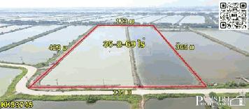 ขาย ที่ราคาพิเศษ สร้างโรงงานได้ใกล้พระราม2 บางขุนเทียน 35.5ไร่ ขอใบ รง.4 ได้ เทรลเลอร์เข้าสะดวก เส้นบางขุนเทียน - พันท้าย KK5374S