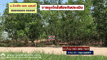 ขายที่ดิน ถนนคลองหลวง คลองสี่ ซอยหมู่บ้านรังสิต เลค แลนด์ พื้นที่1ไร่ ขายราคาใกล้เคียงกับประเมินกรมที่ดิน ใกล้สนามยิงปืนภูมิไพลิน