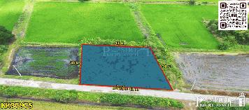 ที่ 360 วา ในราคาต่ำกว่าตลาด ย่านคลองโยง อนาคตไกล ใกล้มอเตอร์เวย์ตัดใหม่  กาญจนบุรี