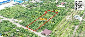 ที่สวยใช้ทำโกดัง/ซื้อทำกำไร 1.5 ไร่ ฮวงจุ้ยดีทางทิศใต้รับลมตลอดปี ใกล้ถนนสายใยรัก ต่อไปใกล้ถนนตัดใหม่กัลปพฤกษ์  พุทธสาคร kk5101s