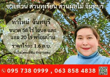 ขายด่วน ที่ดินสวนทุเรียน 58 ไร่ และสวนผลไม้  อ.ท่าใหม่ จ.จันทบุรี ราคาไร่ละ 1.6 ล.บ.    มีโฉนด 58 ไร่ และแถมไม่มีโฉนดอีก 20 ไร่ พร้อมบ้านขนาดใหญ่ 1 หลัง~  เก็บผลผลิตได้ทันที โฉนดพร้อมโอนค่ะ