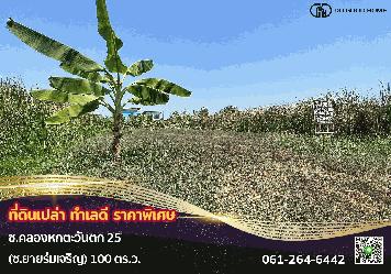 ที่ดินเปล่าขนาด 100 ตารางวา ในซอยคลองหกตะวันตก25 (ซอยยายร่มเจริญ)