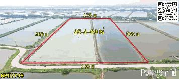 ราคาพิเศษ ที่สร้างโรงงานได้ใกล้พระราม 2 บางขุนเทียน 35.5 ไร่ ขอใบ รง.4 ได้ เทรลเลอร์เข้าสะดวก เส้นบางขุนเทียน  พันท้าย KK5374S