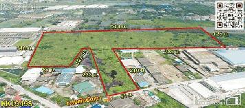 ขายที่ดิน ขายที่สร้างโรงงานทุกประเภท 66 ไร่ สีม่วง สมุทรสาคร พื้นที่กว้าง เทรลเลอร์สะดวก ระบายก็สะดวก 