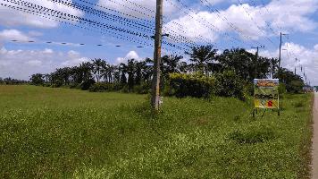 ขายที่ดิน 42-2-20.6 THB212,757,500 บ้านขาว เมือง อุดรธานี