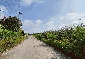 ขายที่ดินคลอง 10 ถนนรังสิต-นายก อำเภอธัญบุรี ปทุมธานี