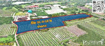 ที่ 31 ไร่ หน้ากว้าง 133 เมตร ราคาดีสุดในตลาดเชื่อมต่อหลายเส้นทาง ถนนสวนส้ม บางปลา พระราม 2