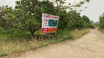 ขายที่สวนลำไย ราคาเจ้าของขายเอง  ต.อุโมงค์  อ.เมือง  จ.ลำพูน