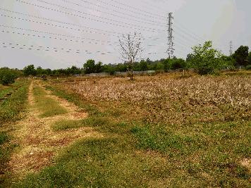 ขายที่ดิน 0-3-85 THB1,200,000 หนองนาคำ เมือง อุดรธานี