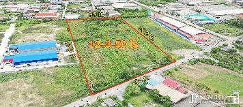 สร้างโรงงานได้ 13,000 ตร.ม. ที่สีม่วงเกือบ 13 ไร่ ฮวงจุ้ยดีหน้ากว้าง 94 ม. หันทิศใต้ รถเทรลเลอร์เข้า - ออกสะดวก ใกล้ถนนเศรษฐกิจเเละพุทธสาคร kk5113s