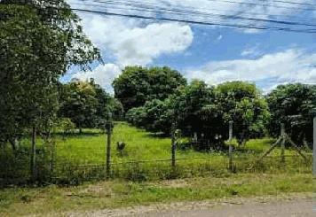 ที่ดินใกล้ม.แม่โจ้ 2 ล้านบาท