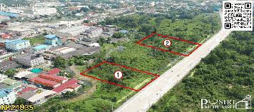 ที่ติดถนนตัดใหม่(4เลน) เอกชัย – เดิมบาง เริ่ม 4 ไร่ขึ้นไปใกล้เอกชัยเพียง 200 เมตร แวดล้อมด้วยความเจริญ ในราคาถือทำกำไรได้ -KK2493S