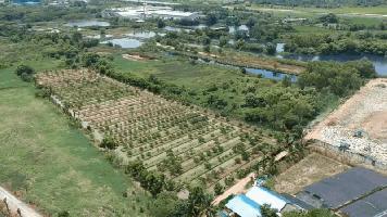 ABB132 ขายที่ดินเกษตร ตำบล ดอนแฝก นครชัยศรี ตรว.ละ 6,875 บาท