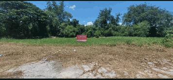 ขายที่ดิน 1ไร่ 1งาน 90 ตรว. ในจ.ลพบุรี เหมาะสำหรับปลูกบ้าน