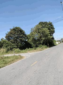 ขายที่ดินเปล่า ทำเลทอง เนื้อที่ 100 ตรว. เหมาะสำหรับปลูกบ้านพักอาศัยหรือเปิดร้านขายของ