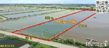 ขายที่สร้างโรงงานเกือบ 15ไร่ ขอใบ รง.4 ได้ ใกล้ กรุงเทพ เทรลเลอร์เข้าสะดวก เส้นบางขุนเทียน - พันท้าย - KK 5301S